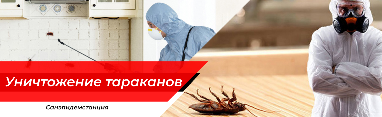 Уничтожение тараканов Красноармейск